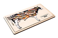 Internal Parts of a Cow Puzzle with Nomenclature Cards (3-6) (Printed)