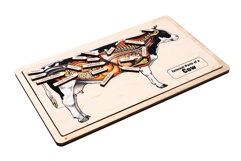 Internal Parts of a Cow Puzzle with Nomenclature Cards (6-9) (Printed)
