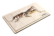 Parts of a Grasshopper Puzzle