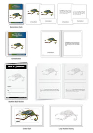 Parts of a Chameleon Nomenclature Cards (6-9) (Printed)