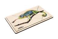 Parts of a Chameleon Puzzle with Nomenclature Cards (6-9) (Printed)