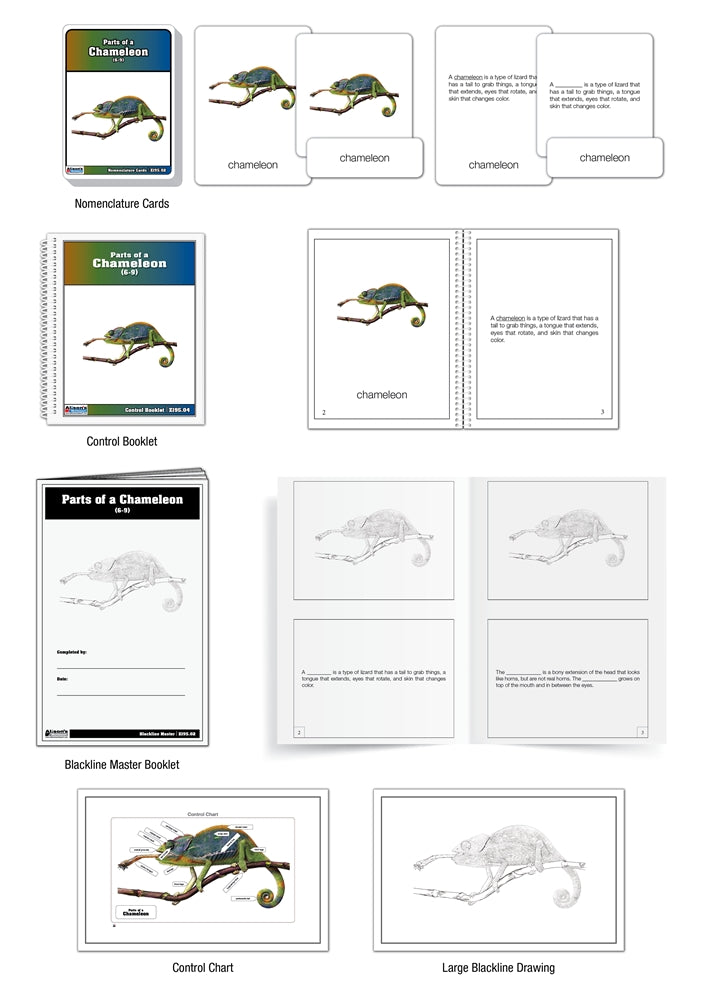 Parts of a Chameleon Puzzle with Nomenclature Cards (6-9) (Printed)