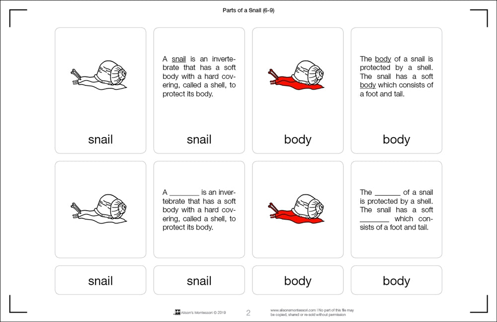 Parts of a Snail Nomenclature Cards (6-9) (Printed)
