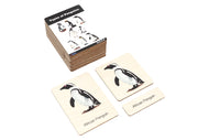 Types of Penguins Wooden Nomenclature Cards (3-6)