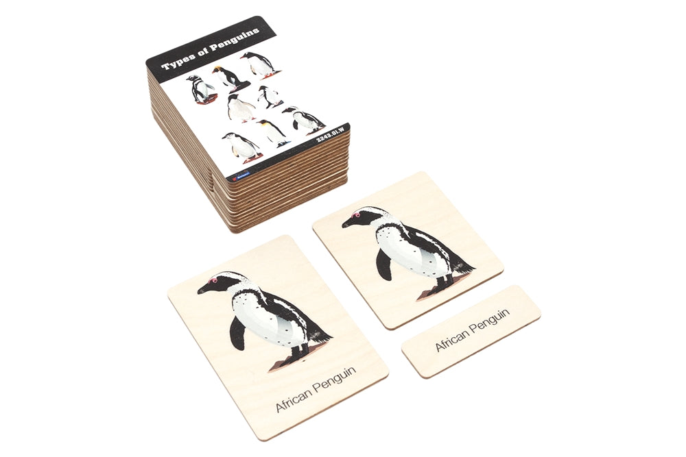 Types of Penguins Wooden Nomenclature Cards (3-6)
