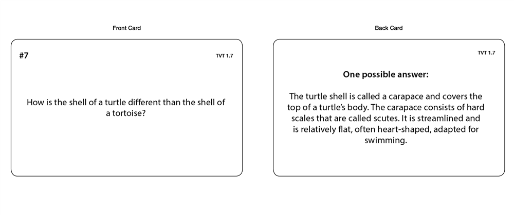 Turtles Vs Tortoises Chart with Cards
