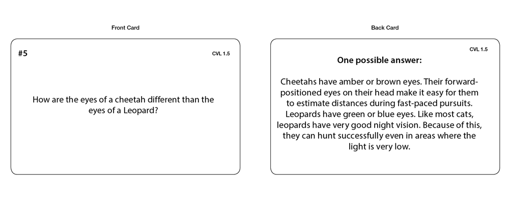 Cheetah vs Leopard Chart with Cards