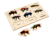 Types of Bees Puzzle with Nomenclature Cards 6-9 (Printed)