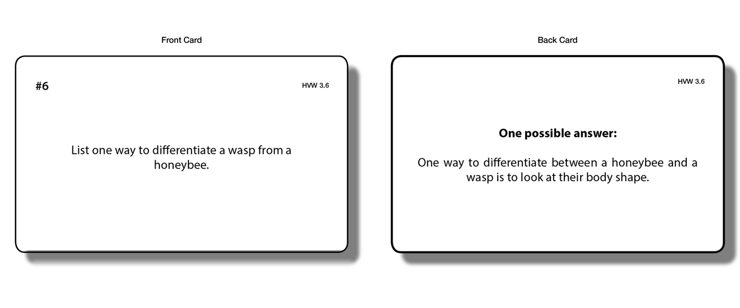 Honeybee vs Wasp Chart with Cards