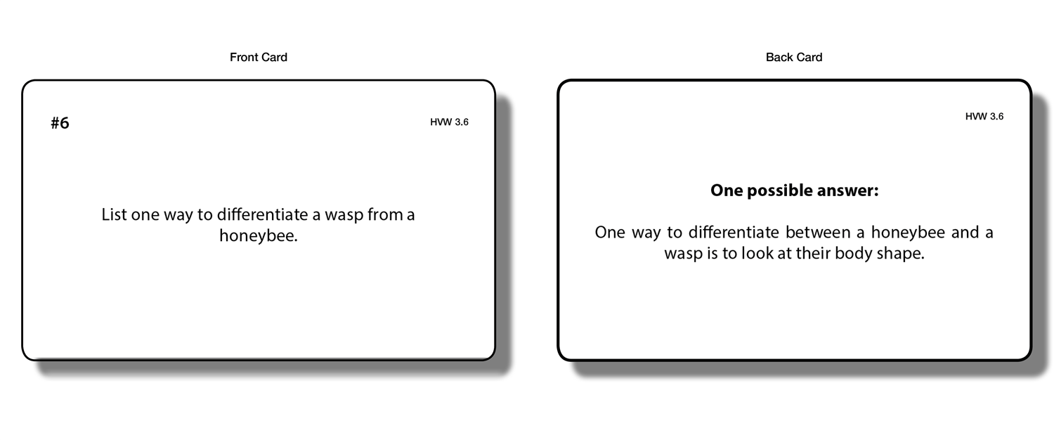 Honeybee vs Wasp Chart with Cards
