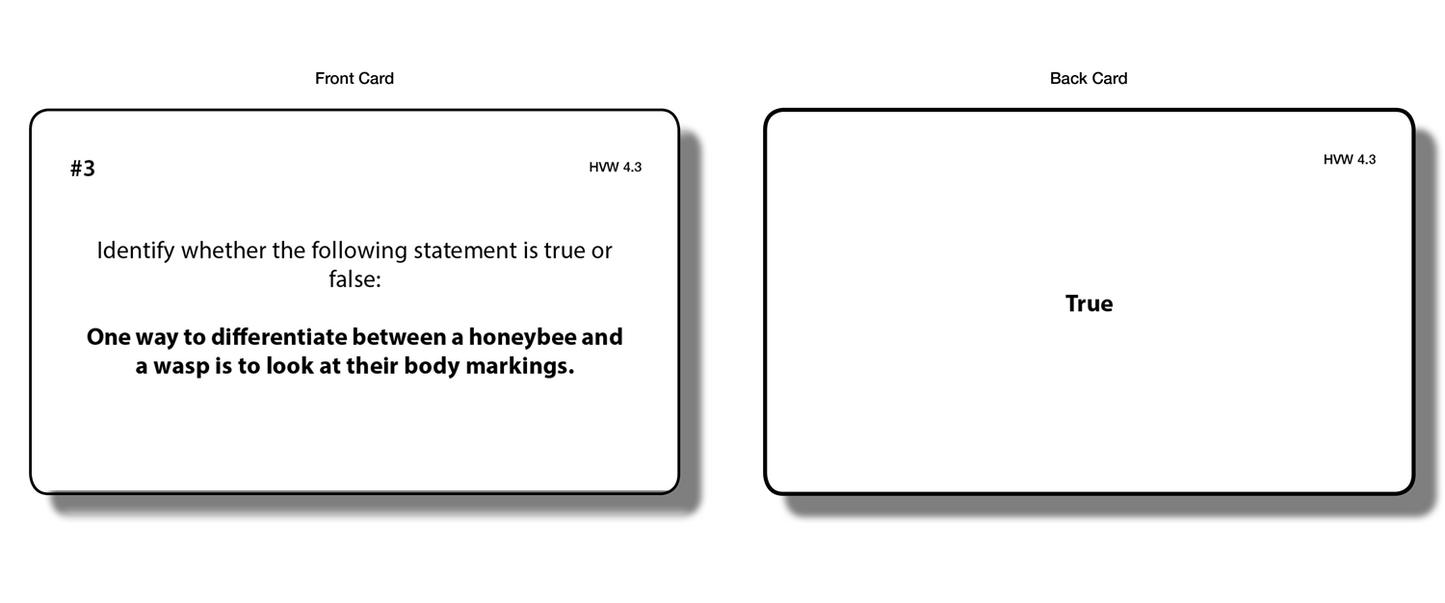 Honeybee vs Wasp Chart with Cards