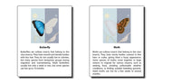 Butterfly vs Moth Chart with Cards