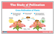 The Study of Pollination Task Cards