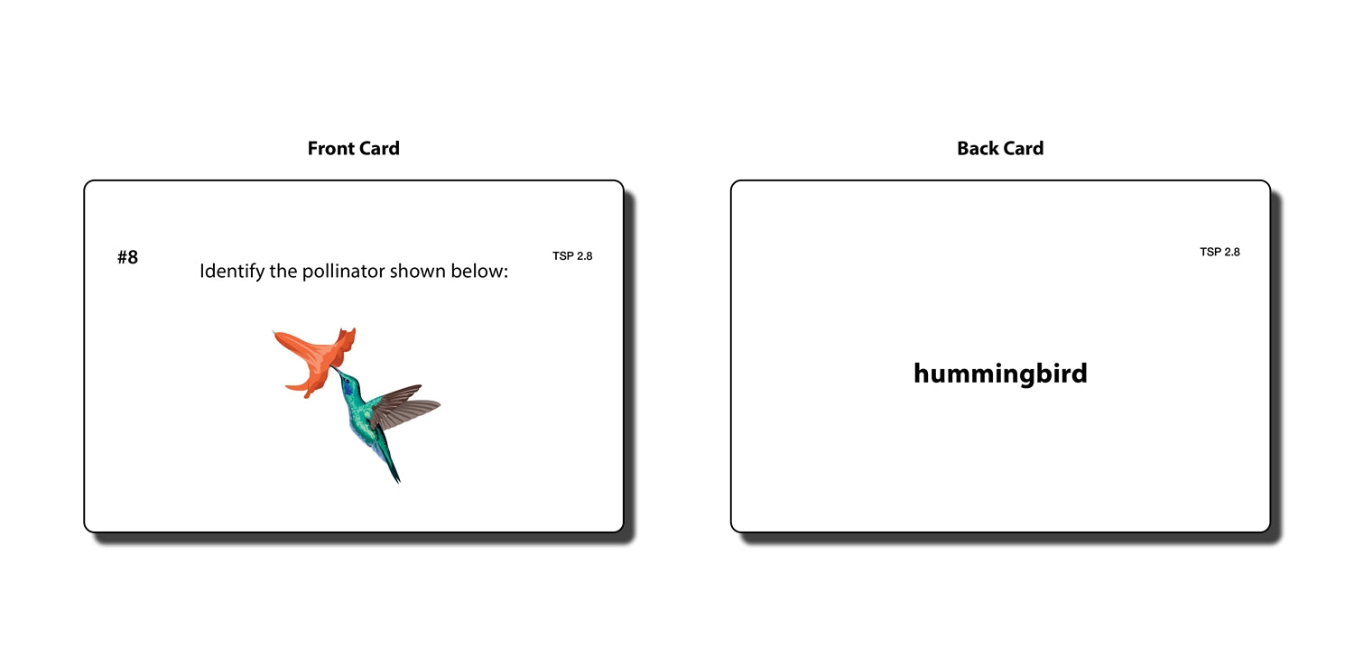 The Study of Pollination Task Cards