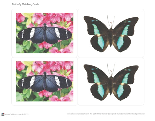 Butterfly Matching Cards (Printed)