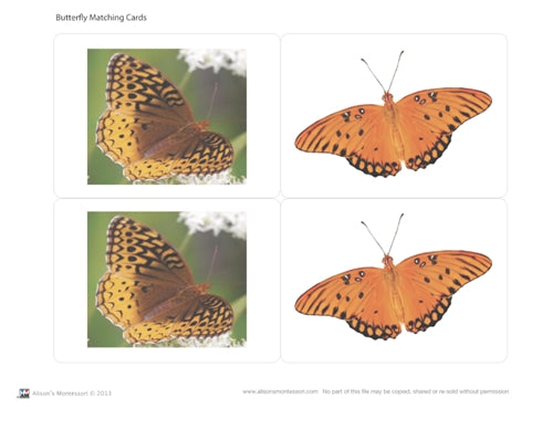 Butterfly Matching Cards (Printed)