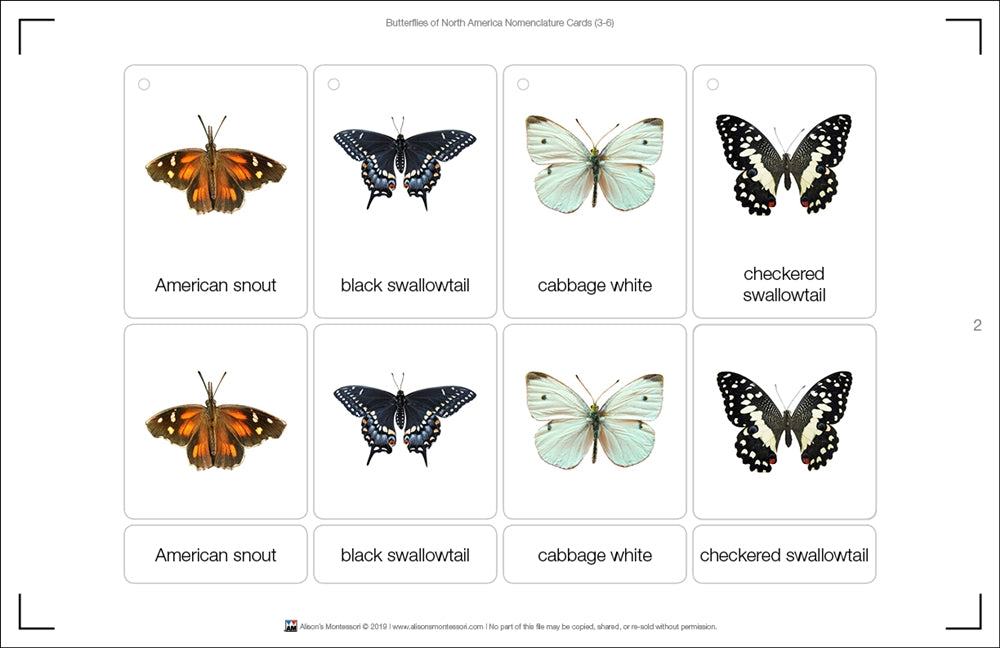 Butterflies of North America (Printed)