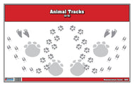 Animal Track Nomenclature Cards (Printed)