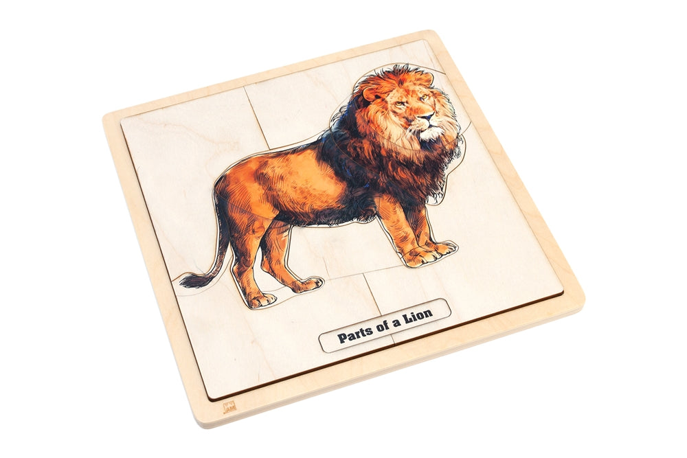 Parts of a Lion Puzzle with Nomenclature Cards (3-6) (Printed)
