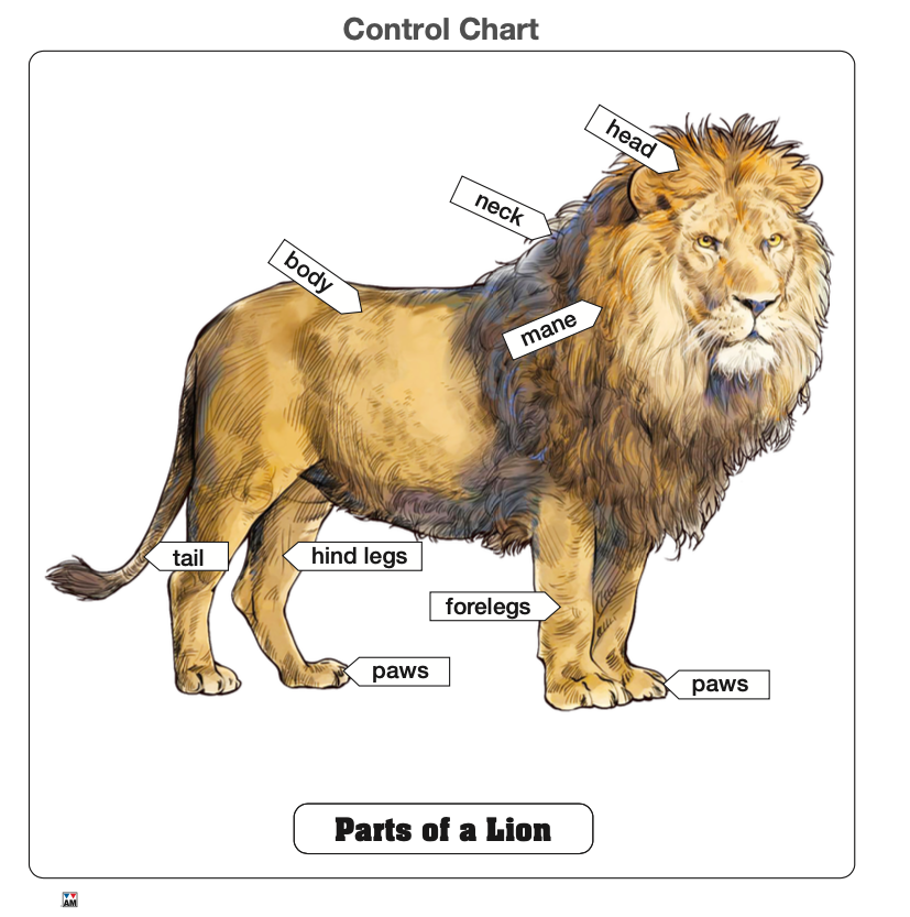 Parts of a Lion Puzzle with Nomenclature Cards (3-6) (Printed)