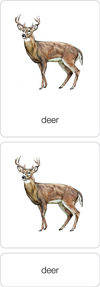 Parts of a Deer (Printed)