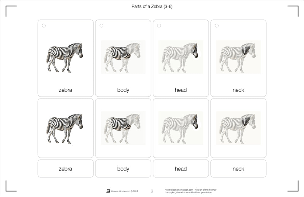 Parts of a Zebra Three Part Cards (Printed)