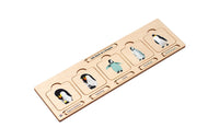 Life Cycle Puzzle: Penguin