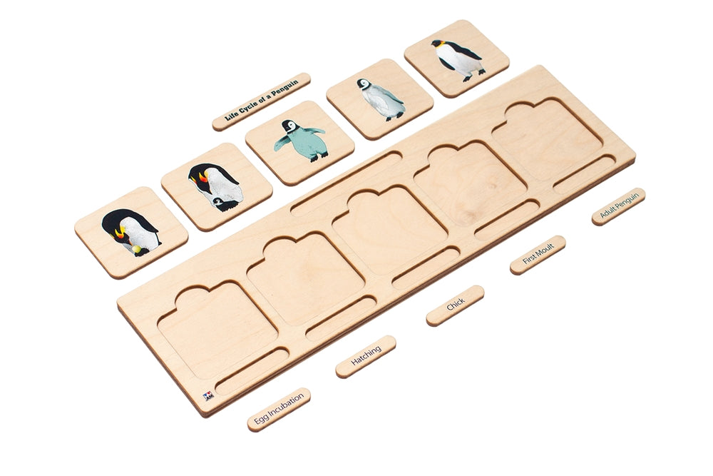 Life Cycle Puzzle: Penguin
