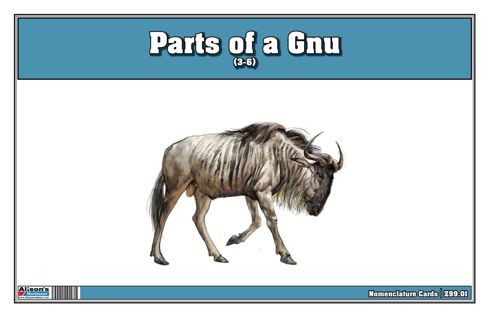 Parts of a Gnu Three Part Cards (Printed)