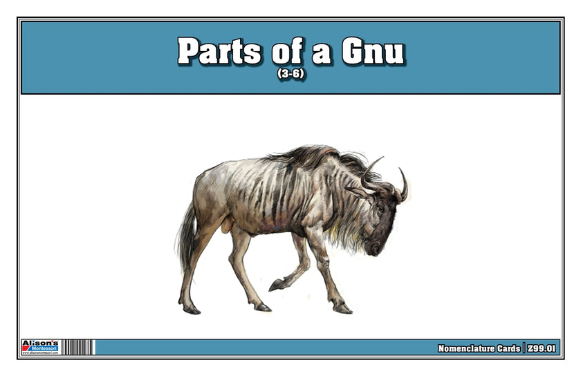 Parts of a Gnu Three Part Cards (Printed)