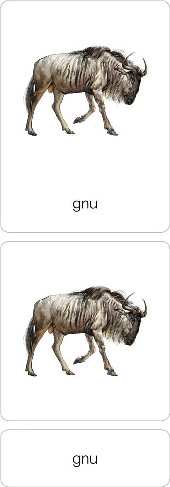 Parts of a Gnu Three Part Cards (Printed)