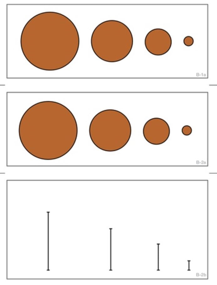Charts for Toddler Knobbed Cylinders (Printed and Laminated)